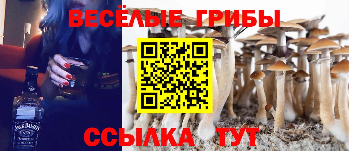 Сердобск  закладка  Вход с VPN  Псилоцибиновые грибы Cubensis  Галлюциногенные грибы Psilocybe 